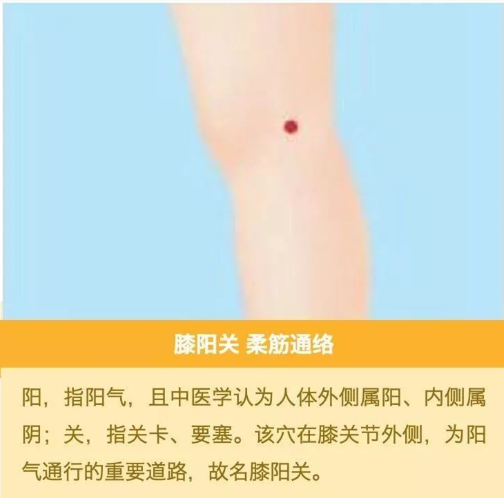 膝盖不好为什么要先治肝看看中医怎么说