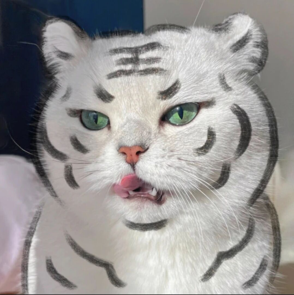 奶凶猫咪头像我超凶哒嗷呜