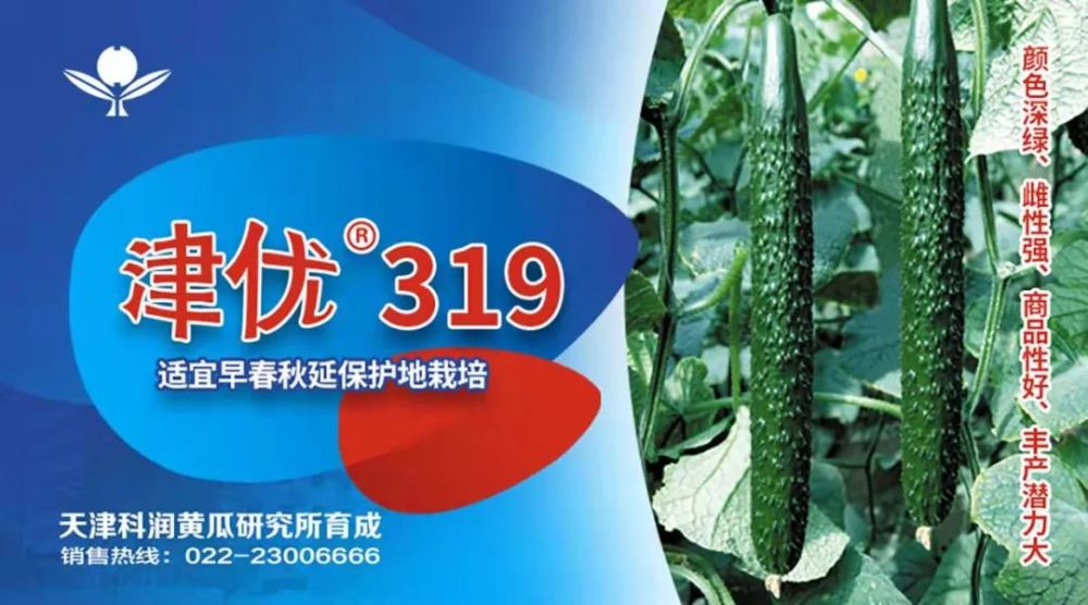 消之宝