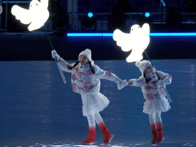 冬奥会和平鸽掉队图片