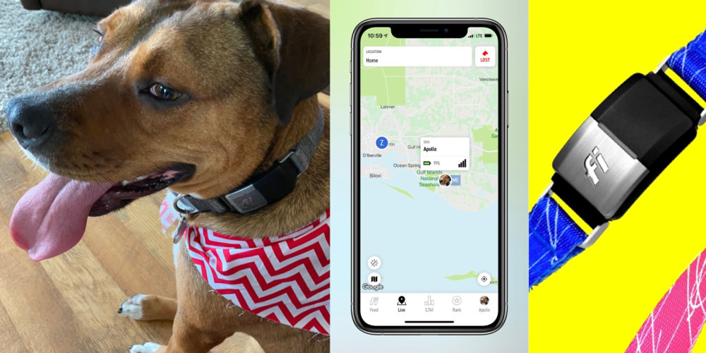 首个与苹果iPhoneFindMy兼容的智能狗牌Tag已上市