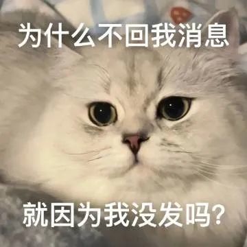 表情包:为什么不回我消息,就因为我没发?