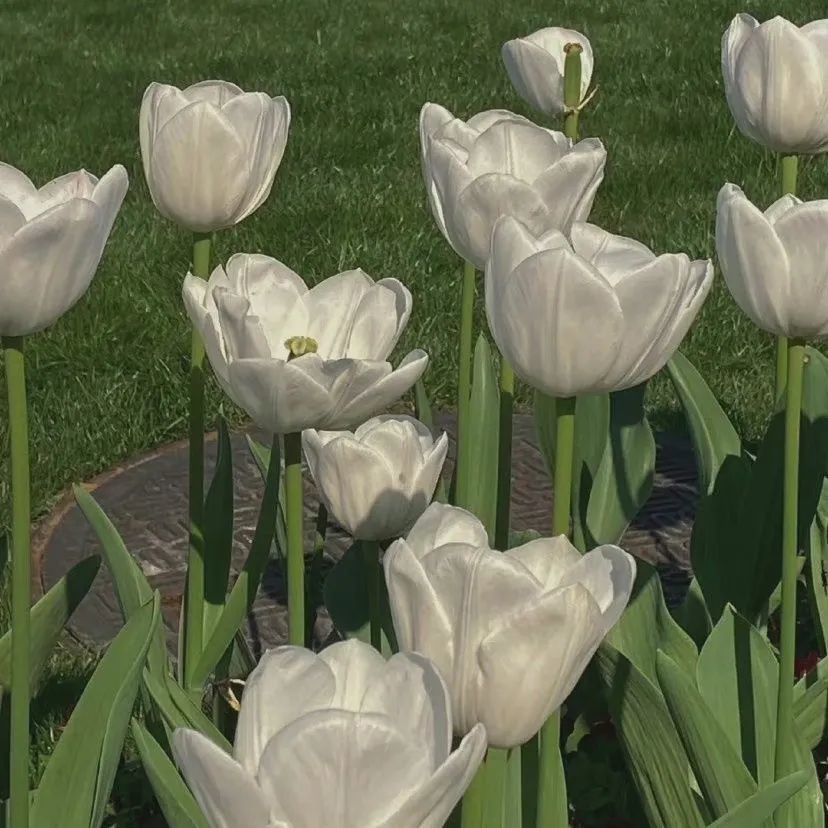 ins微信背景图_腾讯新闻