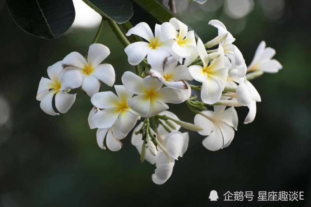 2月10日 日星座运势 突破常规 奋起反击的四大星座 腾讯新闻