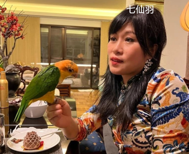 钱小豪前妻邀友人豪宅做客满屋动物太壮观每晚爱搂着鹦鹉睡觉