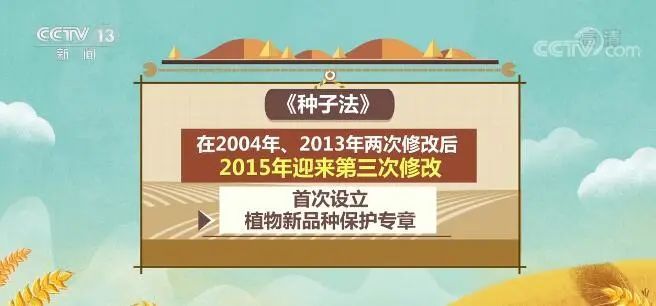 新种子法已实施权威专家深度解读这些条款将与你息息相关