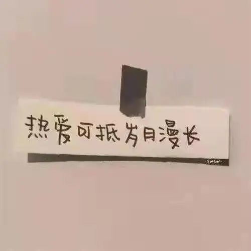 护理专栏唯有热爱可抵岁月漫长
