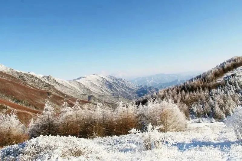 素裹的世界兩天的飄雪虎年的初雪如約而至踩著年的尾巴石泉歡迎走進安