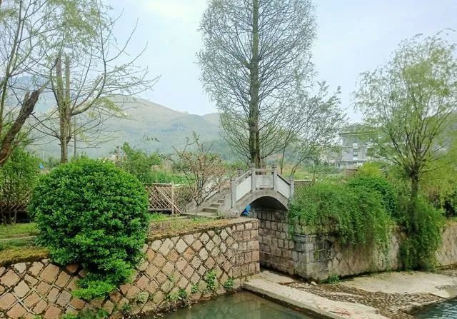 浙江德清|莫干山·后坞生活_腾讯新闻