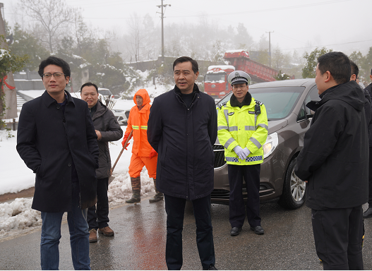 【政务要闻】巩文生调研督导防雪抗冻工作