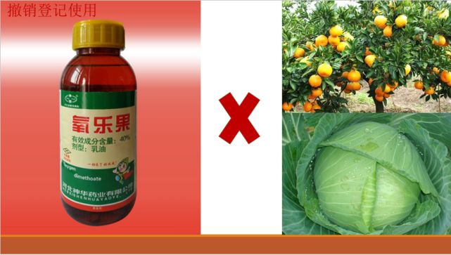 蔬菜上禁止用药恶性案!