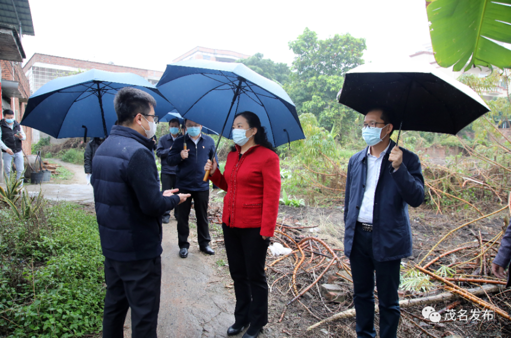 茂名市委书记袁古洁到羊角镇石曹村委会黄塘窿村实地检查该村人居环境