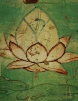 林草科普敦煌壁画中的植物睡莲