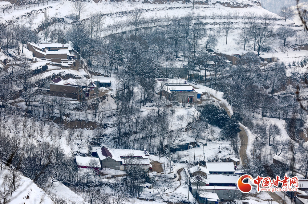 陇拍客甘肃静宁雪后乡村美如画