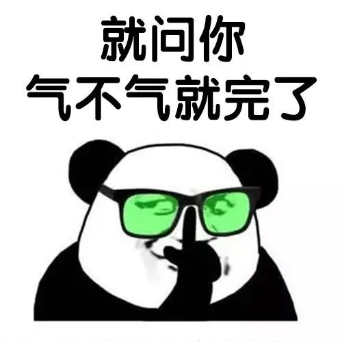气不气就问你气不气