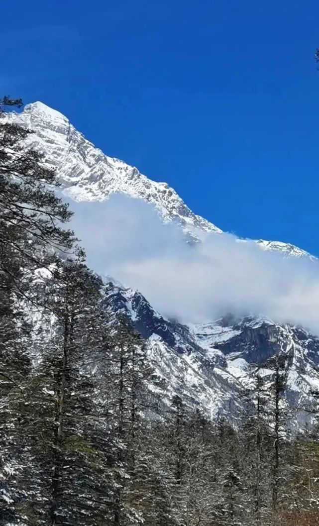 丽江,大理,迪庆的市民,持身份证到玉龙雪山领福利