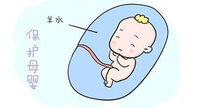 神经管缺陷,腹壁缺损会导致脑脊液外流,体液过度的渗出导致胎羊水过多
