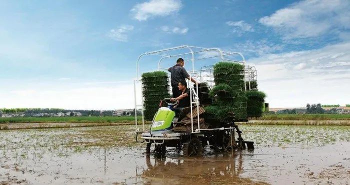 2021年插秧機關注度榜單出爐日系品牌繼續霸榜國產產品升至榜二