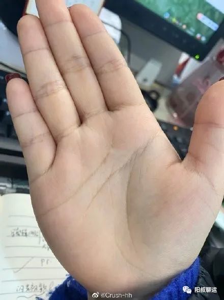 元宝纹是财库,命理有好事业好财运.小拇指未过三关,不合适早婚!