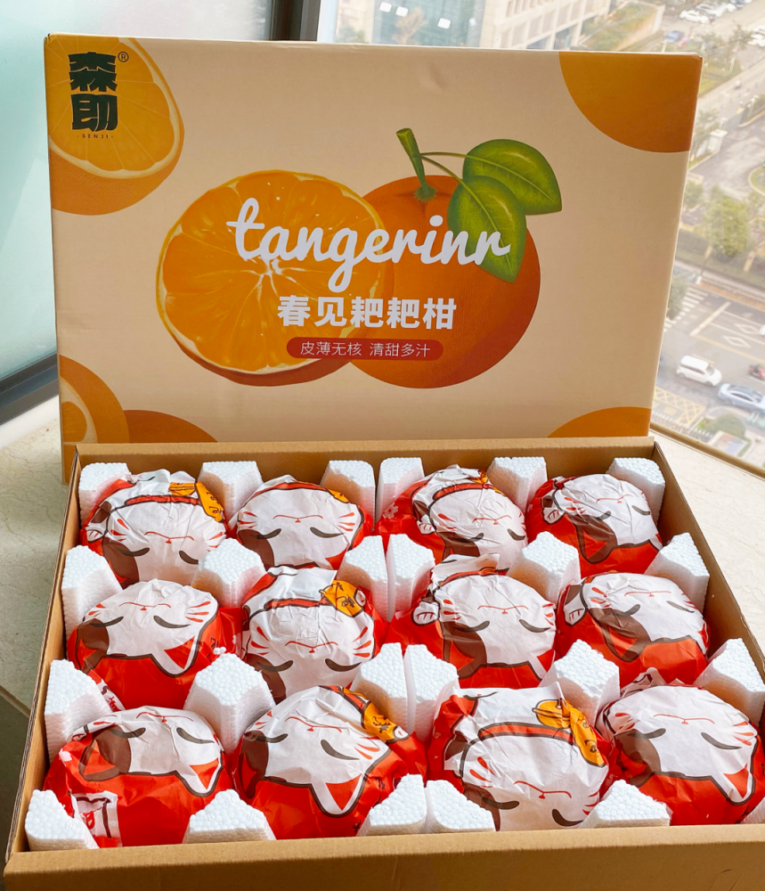 无渣无核树上熟春见耙耙柑春天吃正甜