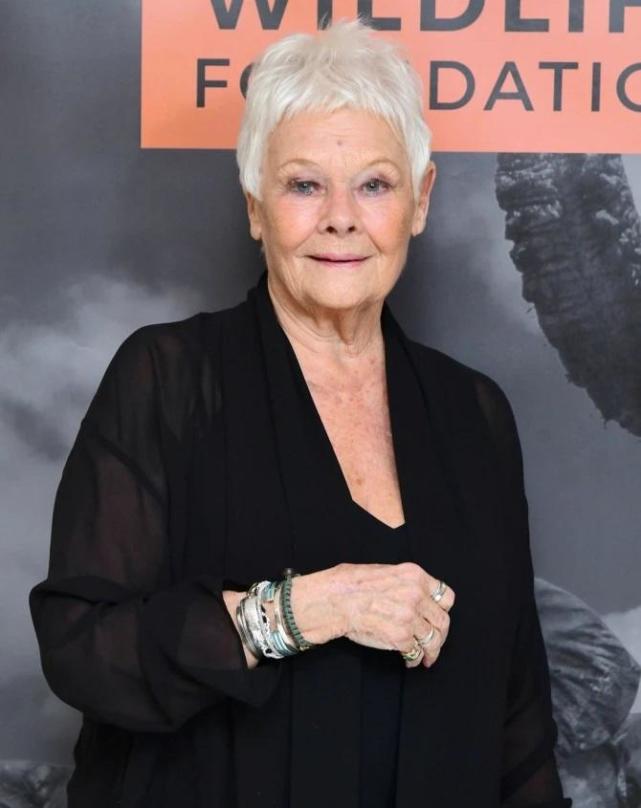 奥斯卡提名出炉87岁老戏骨朱迪丹奇第八次获得奥斯卡提名