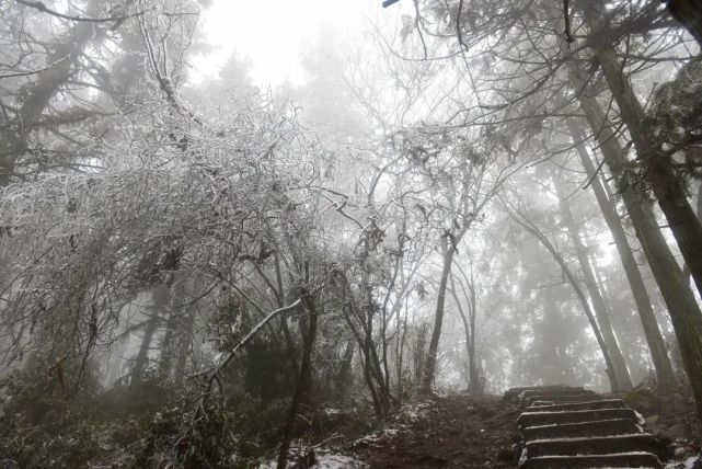 岣嵝峰景区在冰天雪地中展现出另一番风采,松杉堆雪,白絮纷飞,银峰