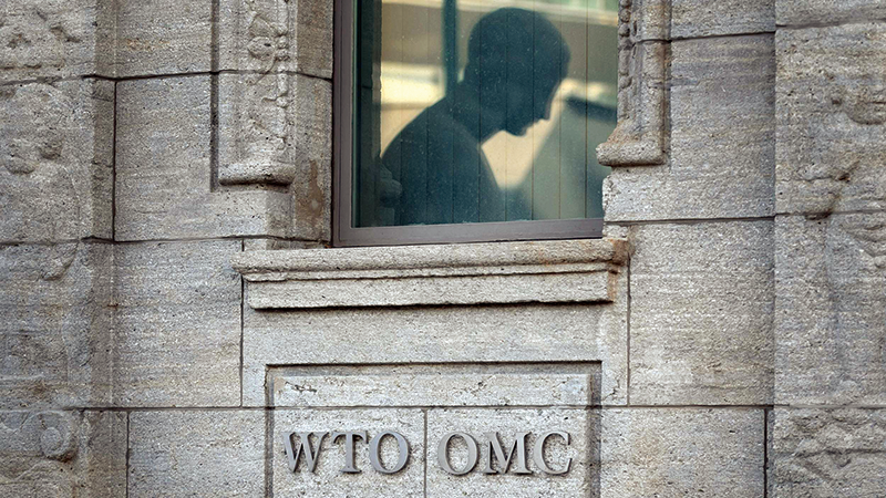 WTO总干事警示：若不干预，全球粮食危机或持续数年