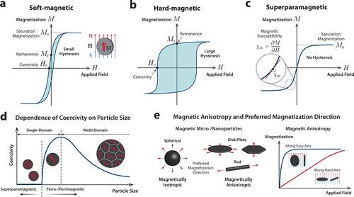 《chem.rev.》麻省理工学院赵选贺综述:磁性软材料和机器人!