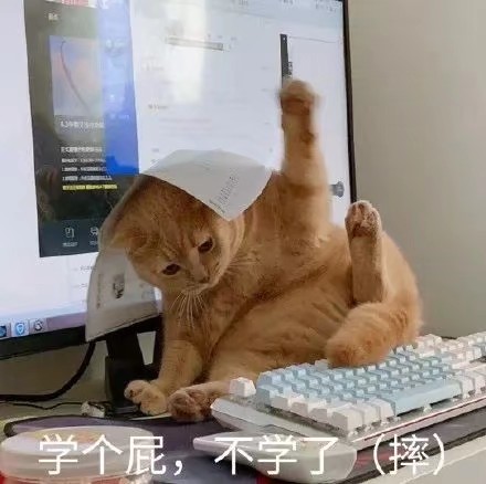 猫猫表情包学个屁不学了