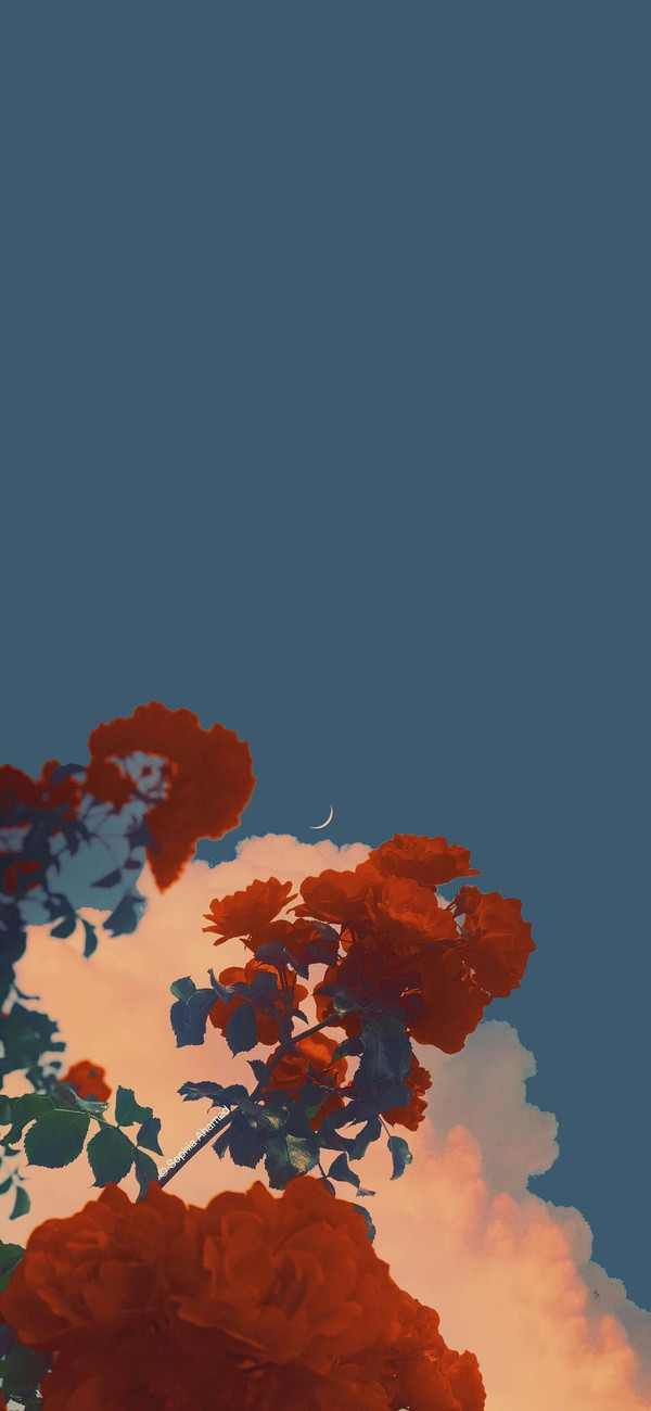 各种风格手机壁纸