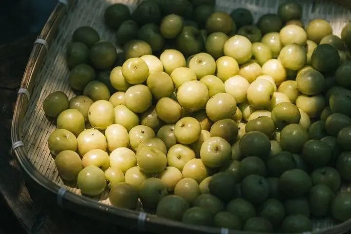 剑桥英语有什么用下滑业绩抢了拖累净利润茶饮价格流媒体