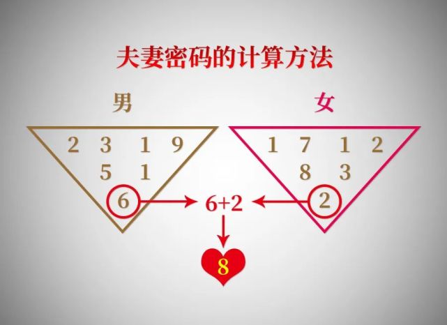 夫妻密碼【8】——8號人和9號人