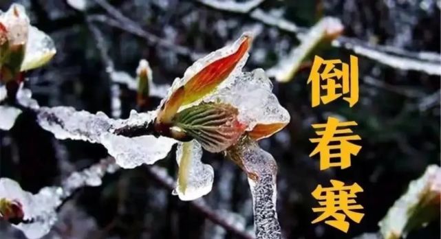 特大"暴雪"即将登场,连下5天,"倒春寒"要来了?