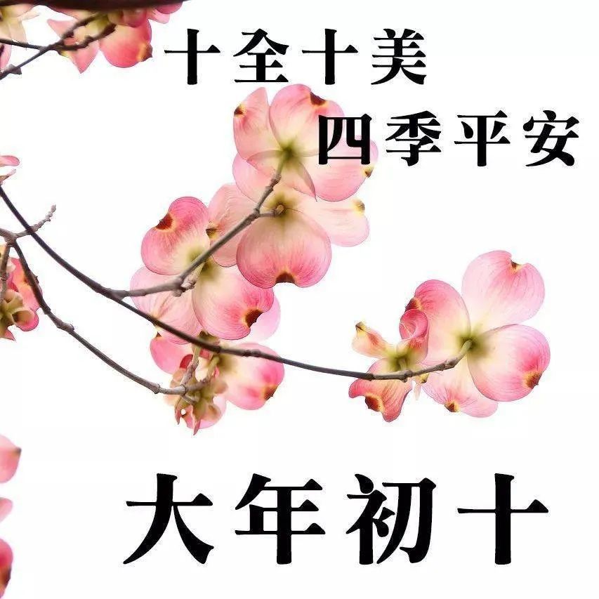 今天是大年初十祝你石破天惊大功成时来运兴财源丰