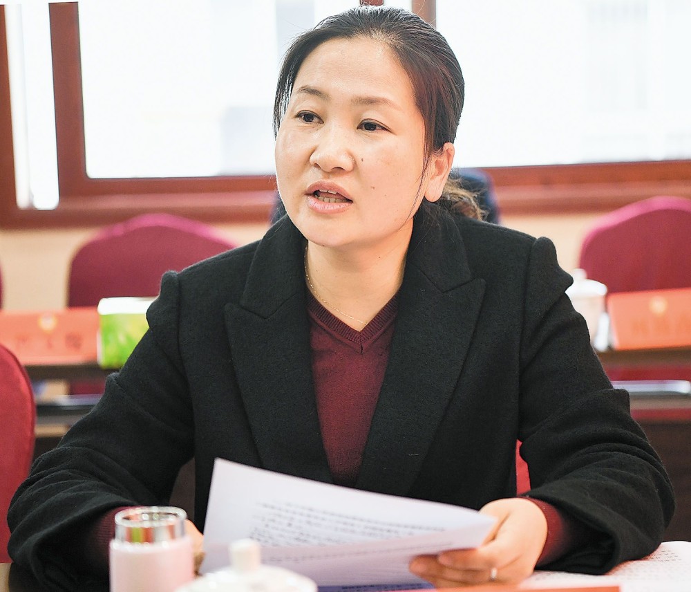 生态环境少数民族组和文化艺术组建睿智之言献务实之策