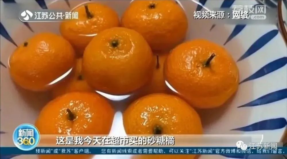 全国砂糖橘最新价格