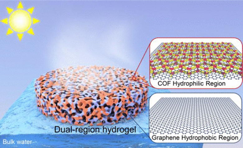 虎年第三篇水凝胶jacs共价有机框架石墨烯双区域水凝胶