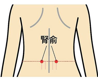 肾阴肾阳本身就是人体生命的一大根本命门也是命门之火,如果选择艾灸