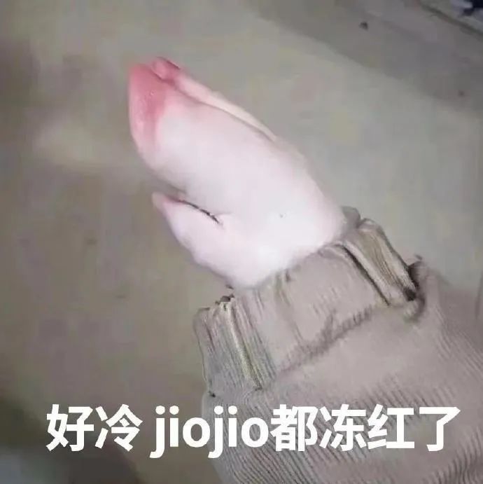 表情包好冷jiojio都凍紅了