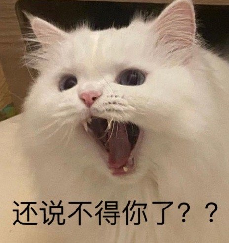 猫咪表情包|是猫猫的员工嘛
