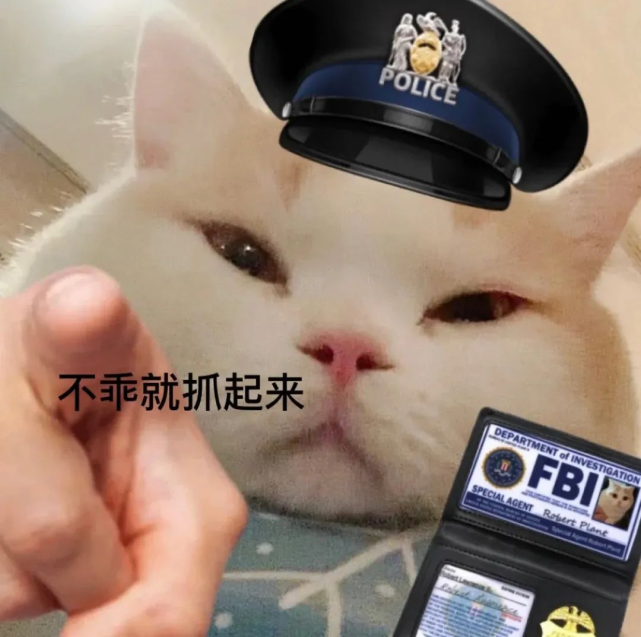 猫咪警察指人表情包图片