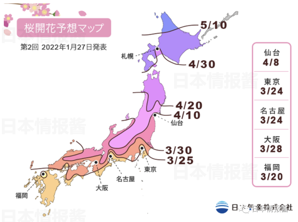 2022日本最新櫻花開花滿開時間預報