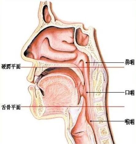 都說炎症會變癌那鼻炎會變鼻咽癌嗎腫瘤專家這樣說