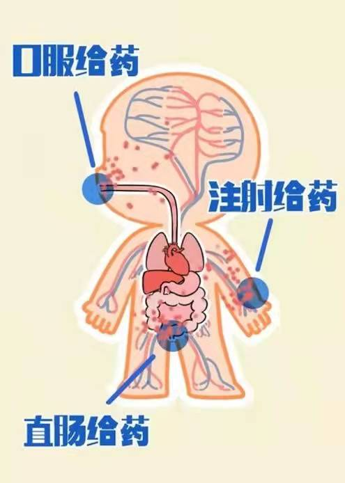 患儿,尽量选用口服的给药方式,因为口服是最安全,方便,经济的给药途径