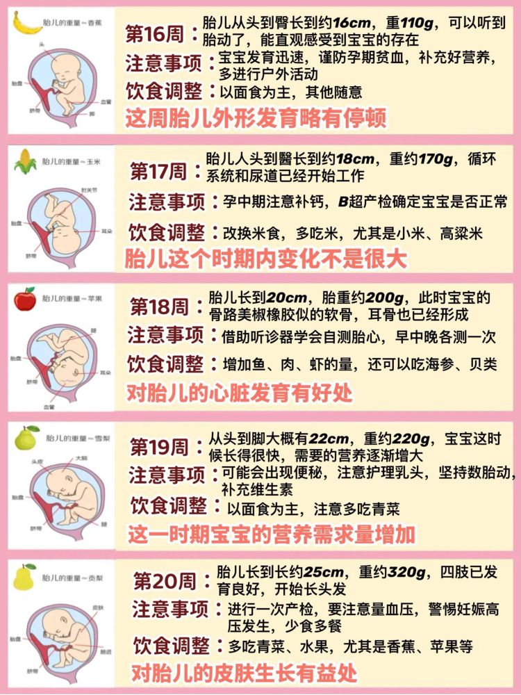 怀孕40周胎儿每周的发育变化及孕妈注意事项 腾讯新闻