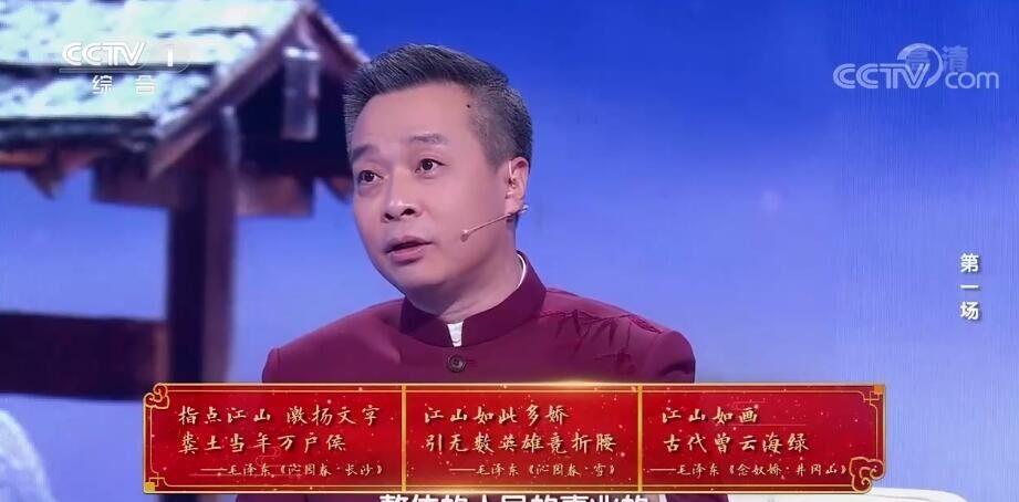 中国诗词大会(中国诗词大会第一季)