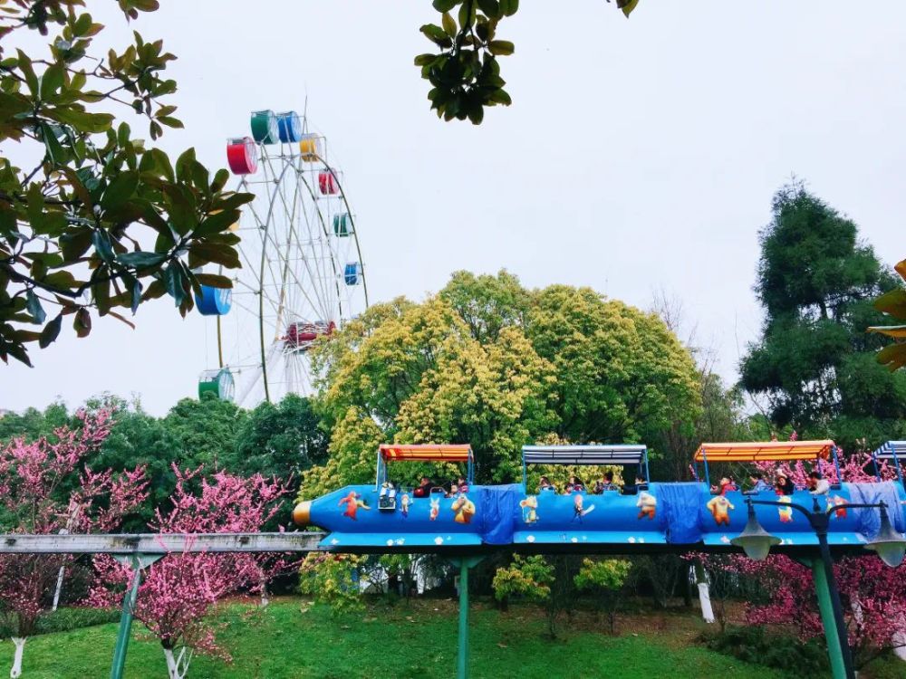 玩转贵阳爱上贵阳开启一场爽游之旅