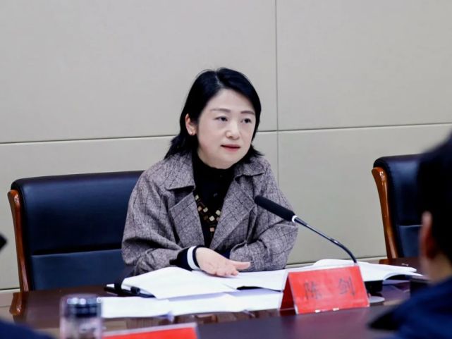 陈剑调研历史文化街区及文物保护工作