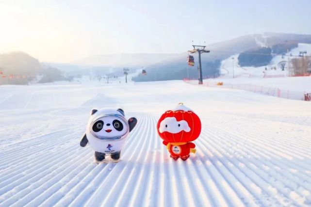 不信你看长出个"冰墩墩"和"雪容融"小吉听说在万科松花湖度假区滑雪场