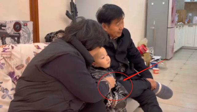 胳膊打亲奶奶,大义灭亲熊磊笑,网友:家教|杜新枝|熊磊|土匪|熊磊楷楷